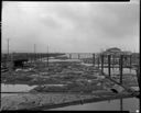 Logs in Pond, Harbor Plywood, 3/1/1940, #17028_1