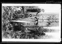 Loggers and big tree, circa 1895, #21342_1