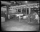 Rayonier plant interiors with workers, 5/24/1946, #22388_1