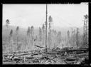 Town mill site and timber at Riddle, Oregon, 10/9/1946, #22856_1