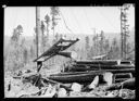 Town mill site and timber at Riddle, Oregon, 10/9/1946, #22857_1