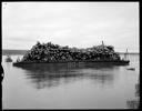 Unloading barge of logs, 7/21/1956, #31255_1