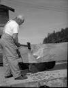 Native American man carving dugout canoe at Taholah, 6/25/1964, #46551_1