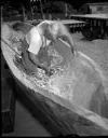 Native American man carving dugout canoe at Taholah, 6/25/1964, #46554_1