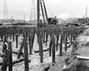 Driving piles of Weyerhaeuser mill, 12/22/1955, #30317_1