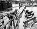 Pontoon floating bridge at North Aberdeen, 11/1955, #30341_1