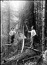 Two loggers falling a fir tree, 1922, #G0008_1