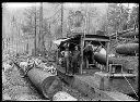 Polson Logging Co. Camp #3, circa 1910, #G0042_1