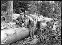 Polson Logging Co. Camp #3, circa 1910, #G0043_1