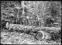 Polson Logging Co. Camp #3, circa 1910, #G0044_1