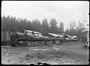 Log at Polson Logging Co. Camp #3, 120' x 40