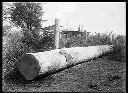 Log, circa 1910, #G0091_1