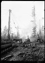 Loading Logs, Copalis Lumber Co., circa 1910, #G0128_1