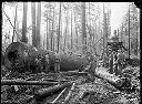 Men in uniform yarding spruce timber , circa 1917, #G0140_1