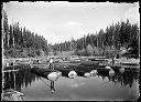 Boom men on log pond with pike poles, circa 1915, #G0149_1