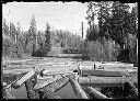 Man on log in log pond, 4/5/1905, #G0201_1