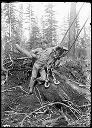 Logger with lead block, circa 1915, #G0204_1