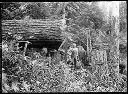 LOgger with felled tree, circa 1910, #G0239_1