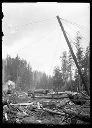 Loggers, felled logs and spar, circa 1910, #G0240_1