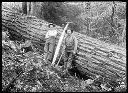 Two loggers with crosscut saw, circa 1915, #G0249_1