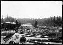 Dumpers in action at log pond, probably Polson's at Log City north of Hoquiam, circa 1910, #G0355_1