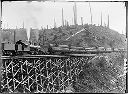 Logging train on trestle with big logs, circa 1910, #G0360_1