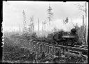 Copalis Lumber Co. logging train on trestle made of pilings, circa 1910, #G0363_1