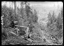 Men near logged hillside, above steep grade with rail cars loaded with logs, circa 1912, #G0365_1