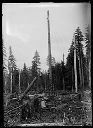 Spar and timber, circa 1922, #G0520_1