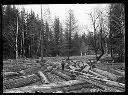 Man on logs in log pond, circa 1922, #G0521_1