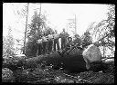 Polson Logging Co., Camp 2, 8 loggers on log, circa 1910, #G0533_1