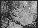 Camp 8 - Polson Logging - Nelson 473, circa 1915, #G0535_1