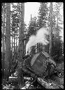 Polson Logging Co. Camp 5, logger on skid road with big log, circa 1910, #G0536_1