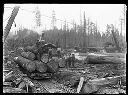 Polson Logging Co. , logs on train, circa 1910, #G0538_1