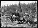 Polson Logging Co. Camp landing, circa 1910, #G0540_1