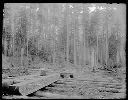 Landing at Polson Logging Co. Camp 5, circa 1920, #G0610_1