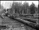 7 loggers with donkey engine & skid road at Polson Logging Co Camp 2 landing, circa 1920, #G0614_1