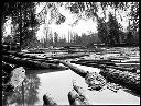 Log pond, circa 1920, #G0646_1