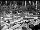 Log pond, circa 1920, #G0665_1