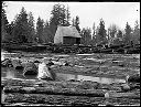 Building overlooking log pond, circa 1920, #G0667_1