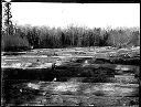 Log pond, circa 1920, #G0687_1