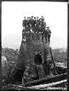 Group of men on large stump, circa 1920, #G0699_1