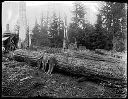 Yarding donkey Camp 3 with loggers, circa 1920, #G0758_1