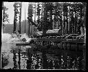 Log dump in the forest, circa 1907, #G0789_1