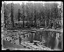 Log pond and skids, circa 1920, #G0793_1