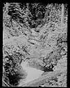 Willaby Creek - Lake Quinault, circa 1920, #G0938_1