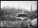 Saginaw Timber Camp #1 sawmill, circa 1907, #G1060_1