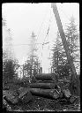 Loading logs on railroad cars, circa 1907, #G1065_1