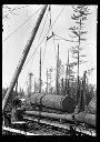 Hoisting logs onto railroad carriages, circa 1915, #G1067_1