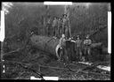 Loggers with felled tree, circa 1922, #G1299_1